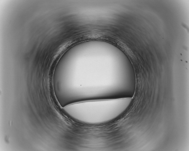 X0000096450626200801241141