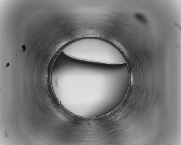 X0000096450627200801241141