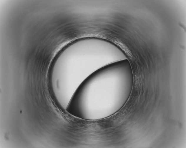 X0000096450628200801241141