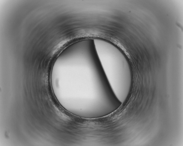 X0000096450629200801241141