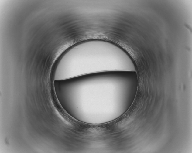 X0000096450630200801241141