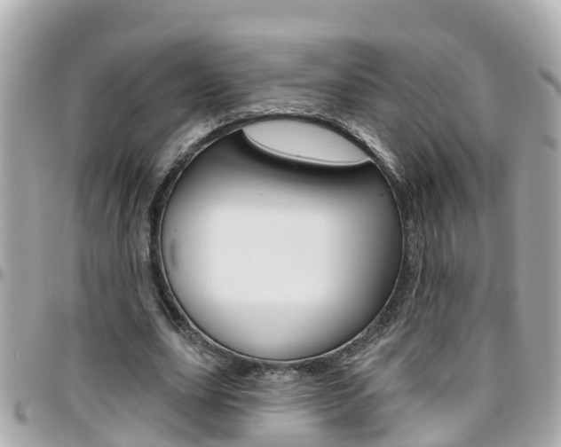 X0000096450631200801241141