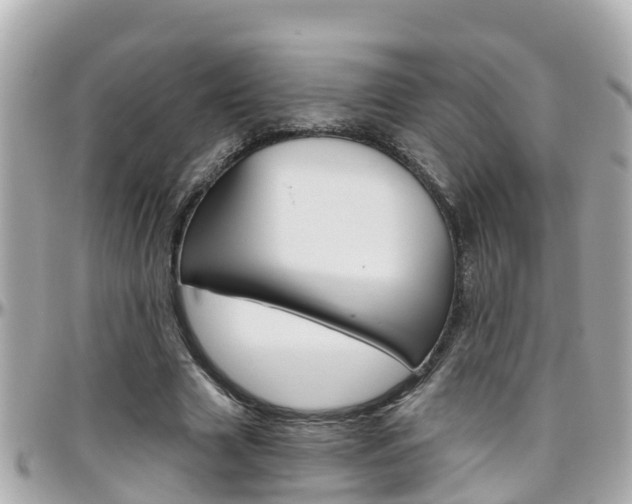 X0000096450633200801241141
