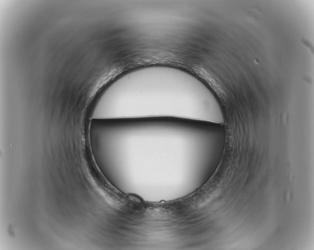 X0000096450634200801241141