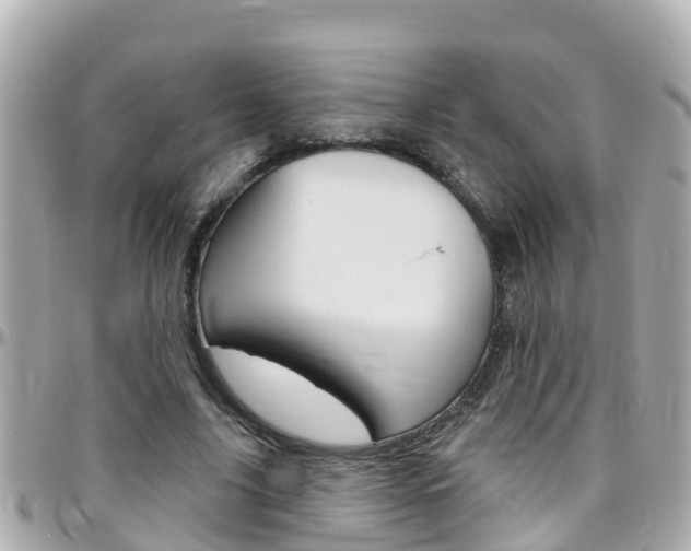 X0000096450635200801241141