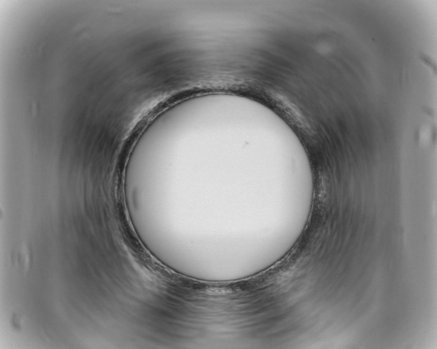 X0000096450636200801241141