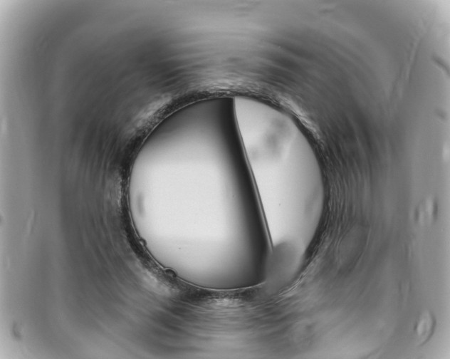 X0000096450637200801241141