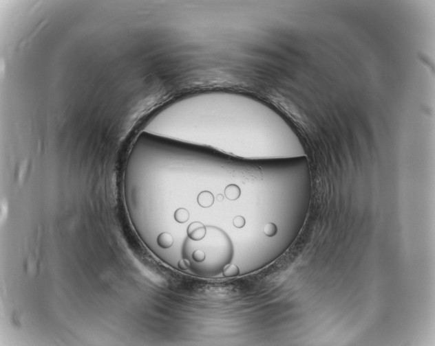 X0000096450638200801241141