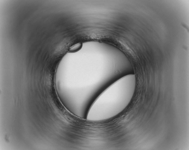 X0000096450639200801241141
