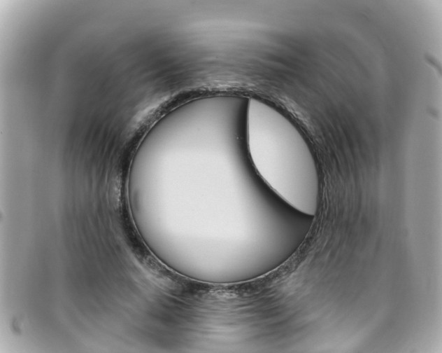 X0000096450640200801241141