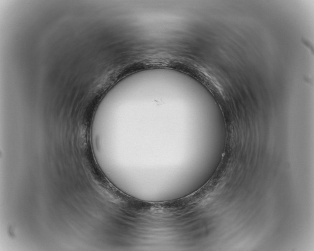 X0000096450641200801241141