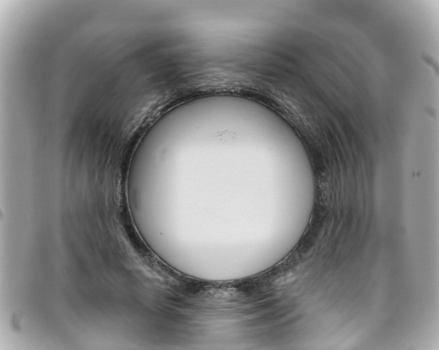 X0000096450642200801241141