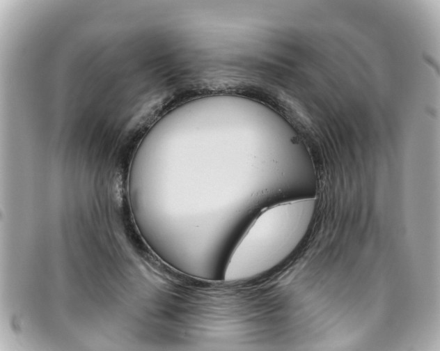 X0000096450644200801241141