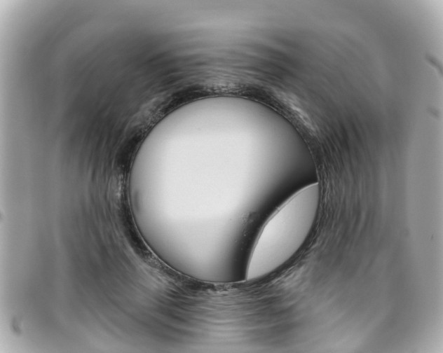 X0000096450645200801241141