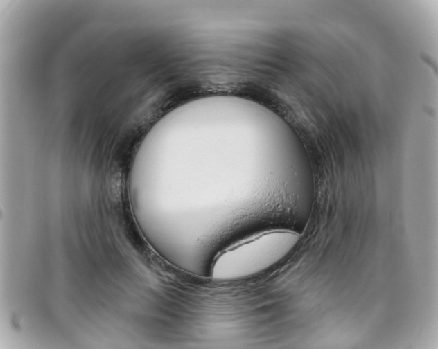 X0000096450647200801241141