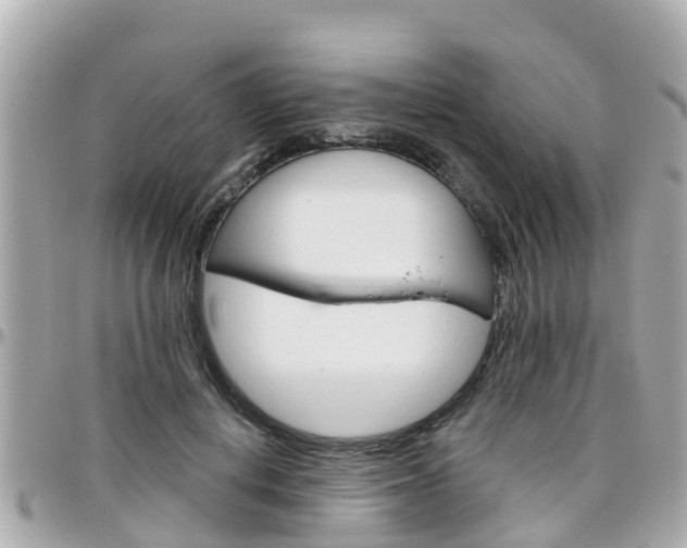 X0000096450648200801241141