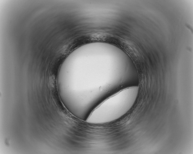 X0000096450649200801241141