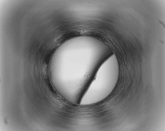 X0000096450650200801241141
