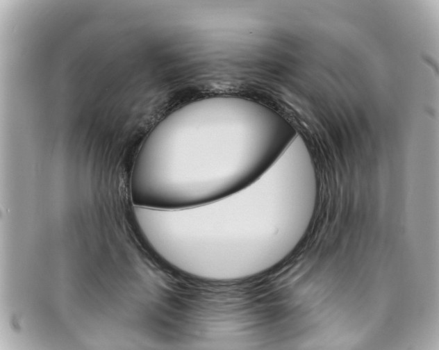 X0000096450651200801241141