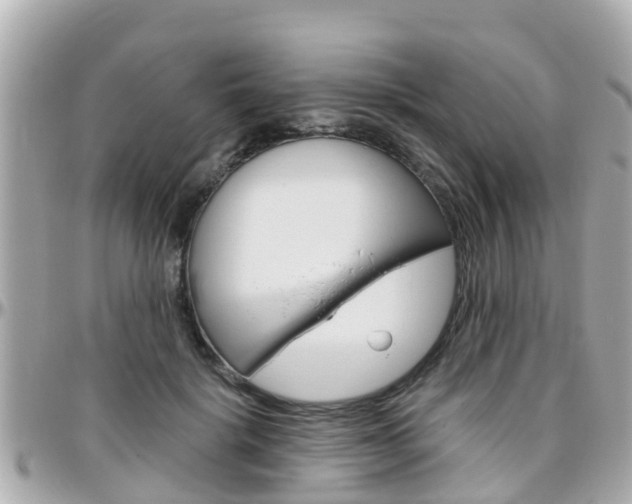 X0000096450652200801241141