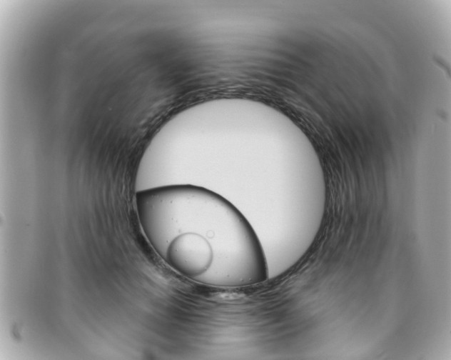 X0000096450654200801241141