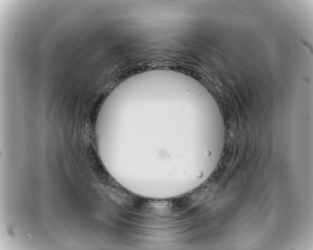 X0000096450659200801241141