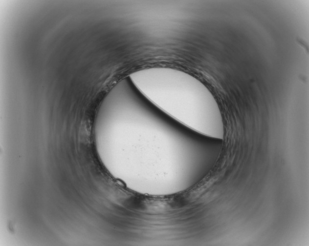 X0000096450661200801241141