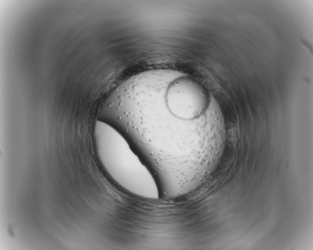 X0000096450662200801241141
