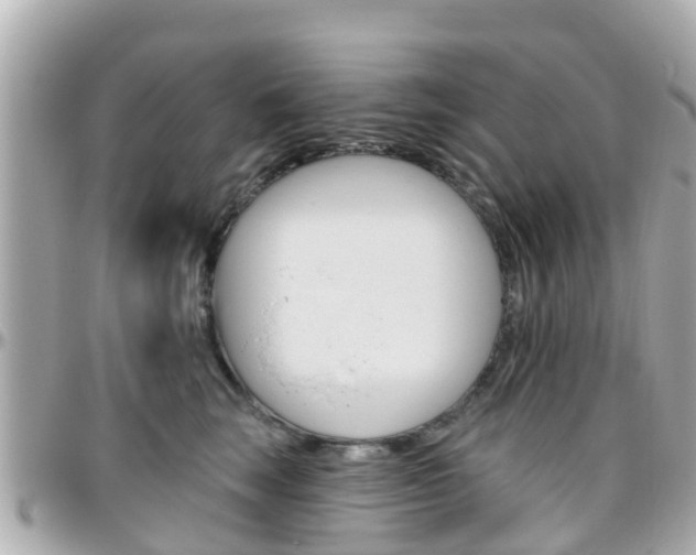 X0000096450663200801241141