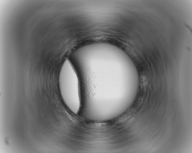 X0000096450664200801241141