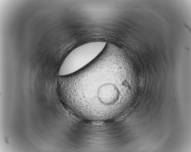 X0000096450666200801241141