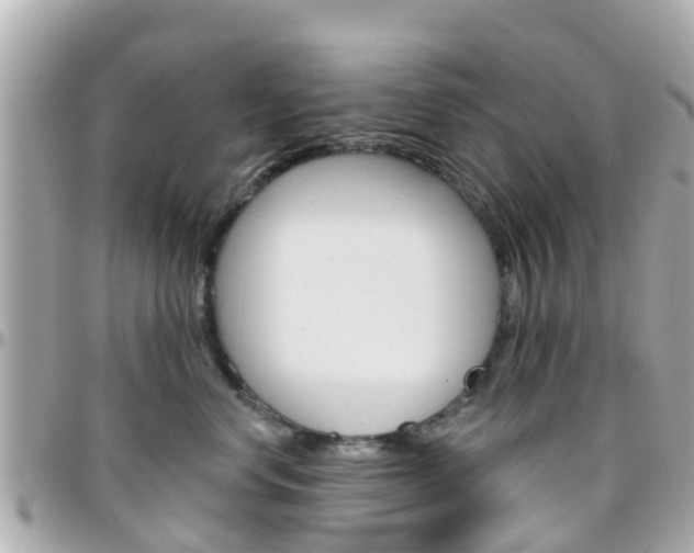 X0000096450668200801241141