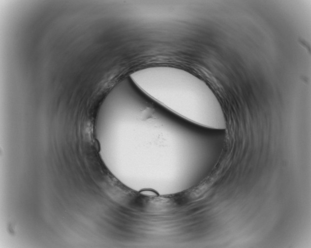 X0000096450669200801241141