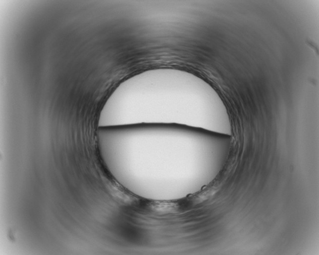 X0000096450670200801241141