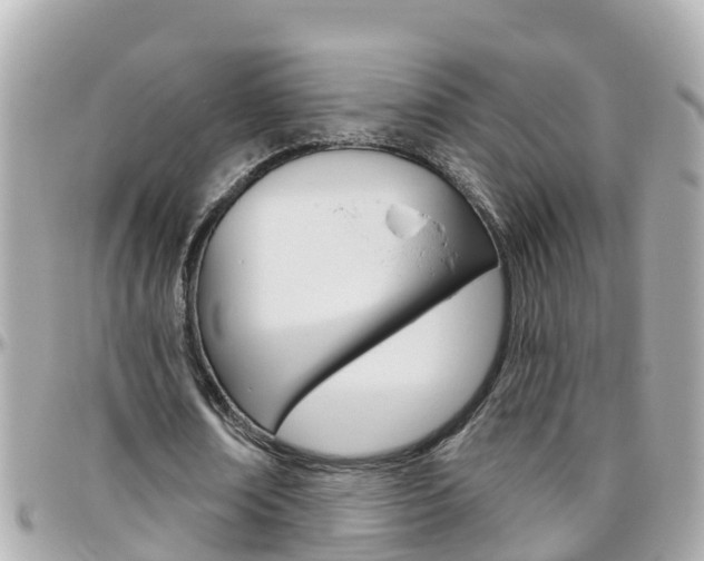 X0000096450674200801241141