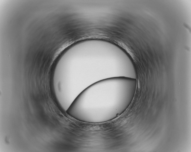 X0000096450675200801241141