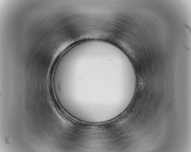 X0000096450678200801241140