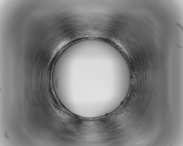 X0000096450679200801241140