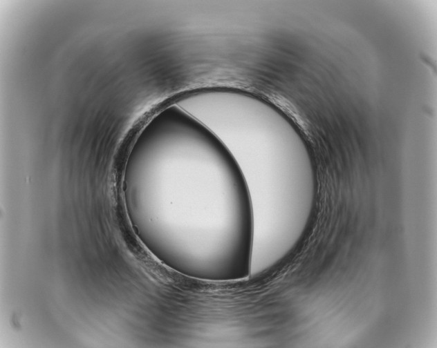 X0000096450680200801241140