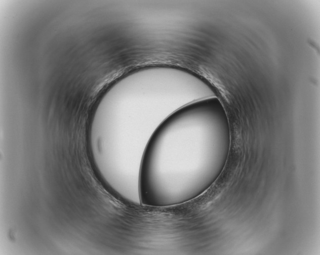 X0000096450681200801241140