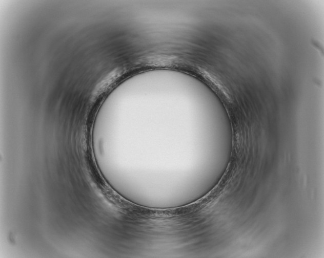 X0000096450682200801241140