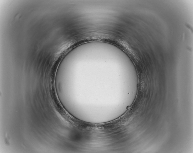 X0000096450683200801241140