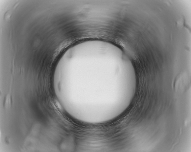 X0000096450685200801241140