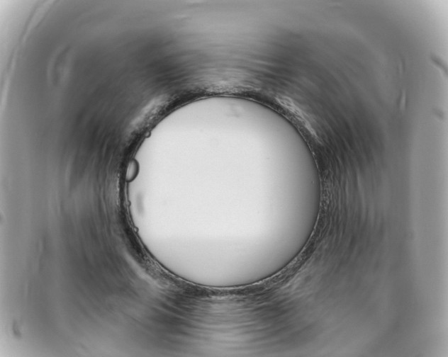 X0000096450686200801241140