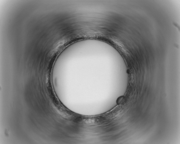 X0000096450687200801241140