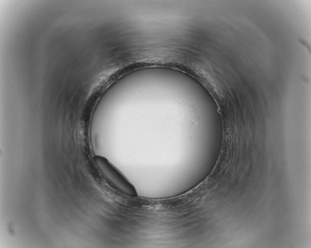 X0000096450688200801241140