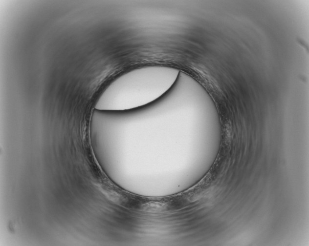 X0000096450691200801241140