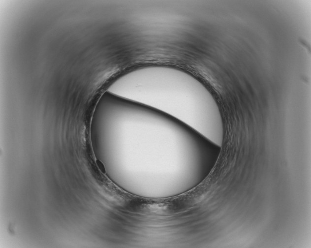 X0000096450692200801241140
