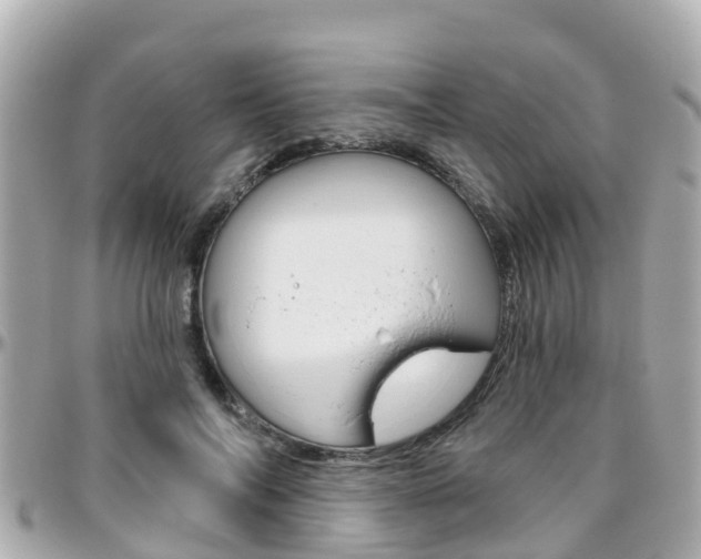 X0000096450694200801241140