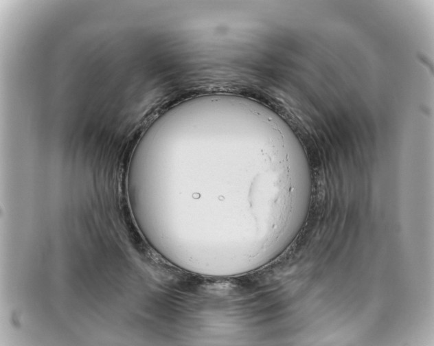 X0000096450695200801241140